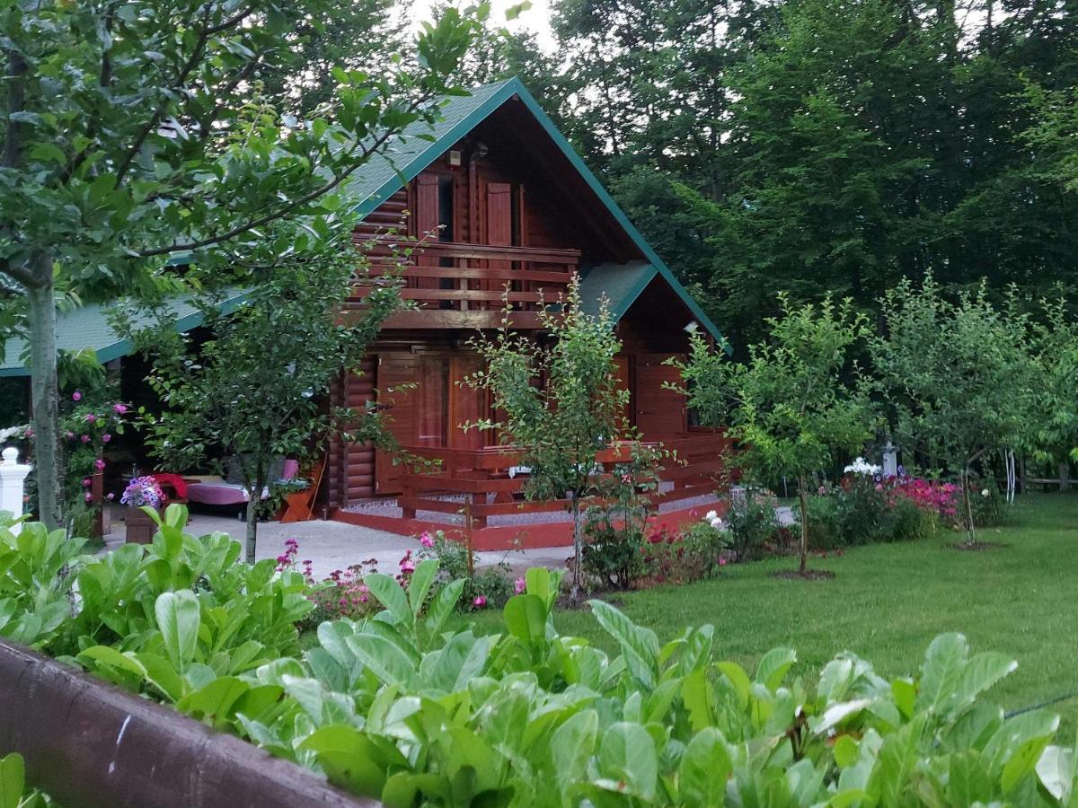 Vikendica Crkvina Villa Kolasin Bagian luar foto