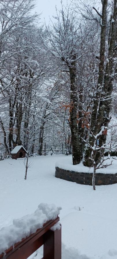 Vikendica Crkvina Villa Kolasin Bagian luar foto