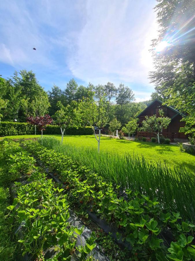 Vikendica Crkvina Villa Kolasin Bagian luar foto