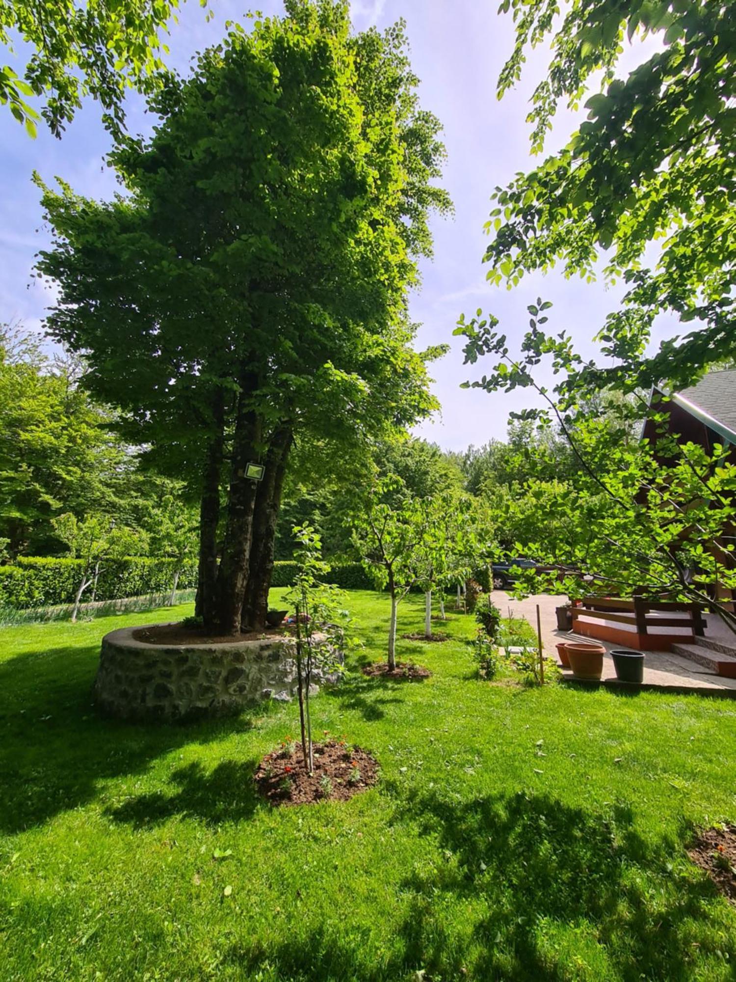 Vikendica Crkvina Villa Kolasin Bagian luar foto