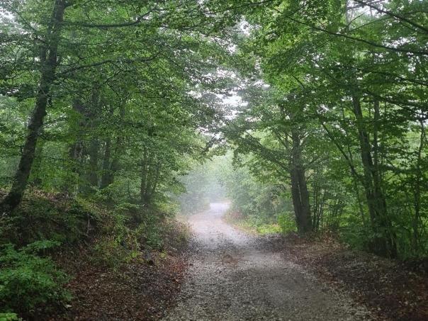 Vikendica Crkvina Villa Kolasin Bagian luar foto